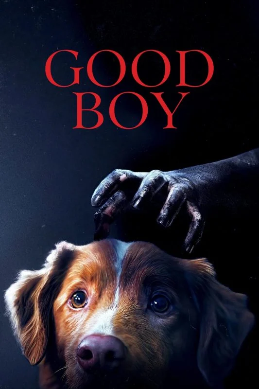 مشاهدة فيلم Good Boy 2025 مترجم موقع عرب سيد